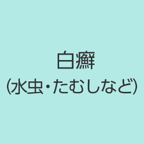 白癬（水虫・たむしなど）