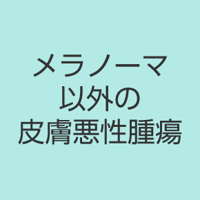 メラノーマ以外の皮膚悪性腫瘍
