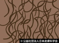 図X:人種による頭髪の違い