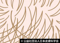 図X:人種による頭髪の違い