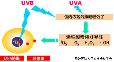 Q3：図