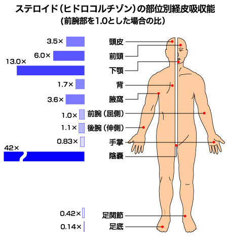 資料6：ステロイド（ヒドロコルチゾン）の部位別経皮吸収能