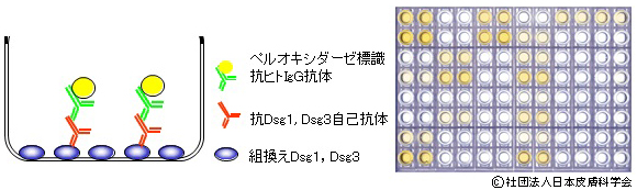 図9