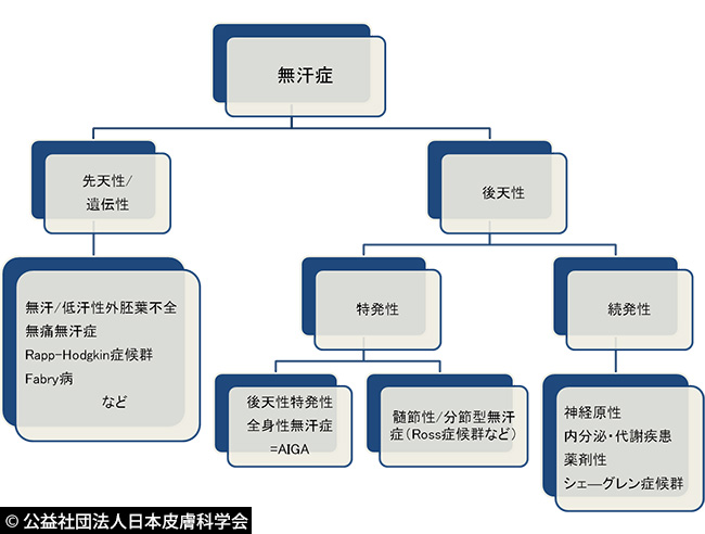図11