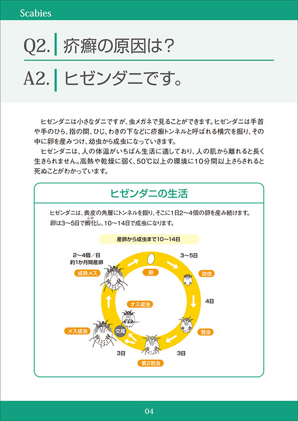 疥癬 かいせん Q2 皮膚科q A 公益社団法人日本皮膚科学会