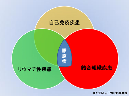 図1